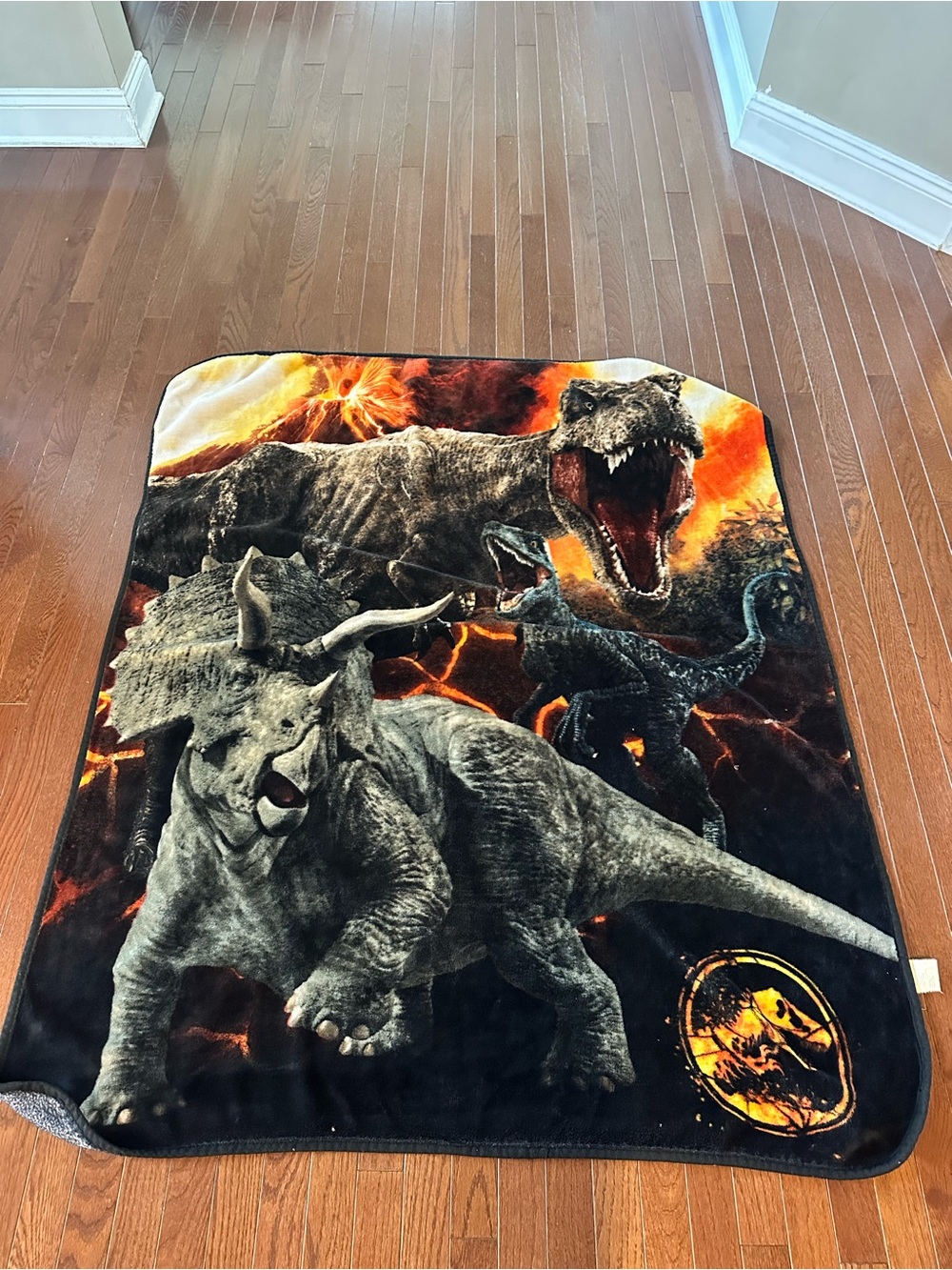Jurassic Park Dinosaur Plush Throw Blanket - Black & Orange